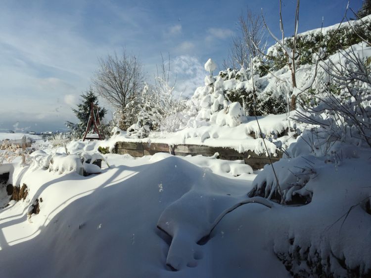 Schnee IMG_5395.jpg
