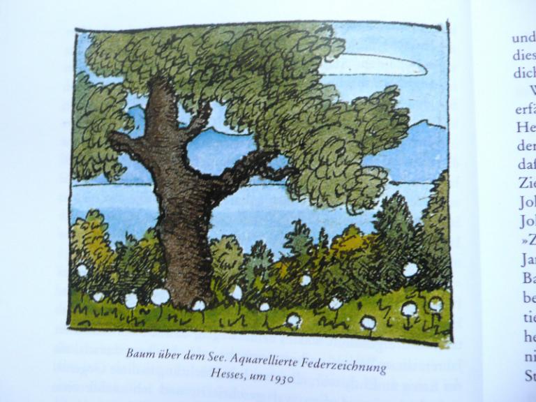 Hermann Hesse Freude am Garten 4.JPG