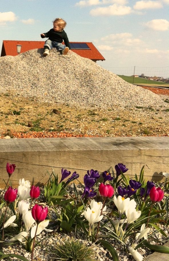 Foto 2_1.jpg