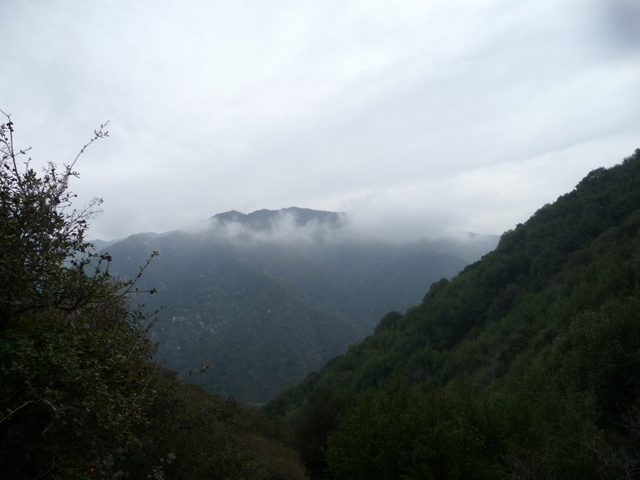 P1170364.JPG