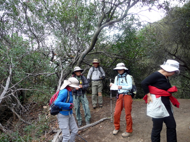 P1170369.JPG