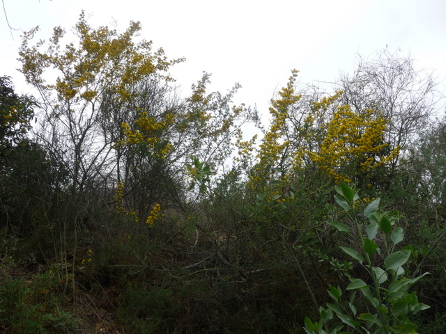P1170415.JPG