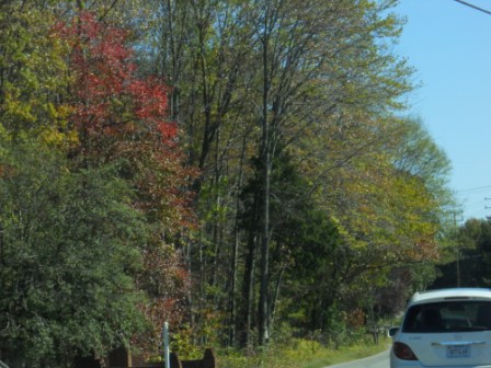 Virginia Trip Oct 2010 025.JPG