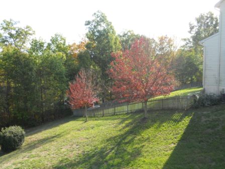 Virginia Trip Oct 2010 211.JPG