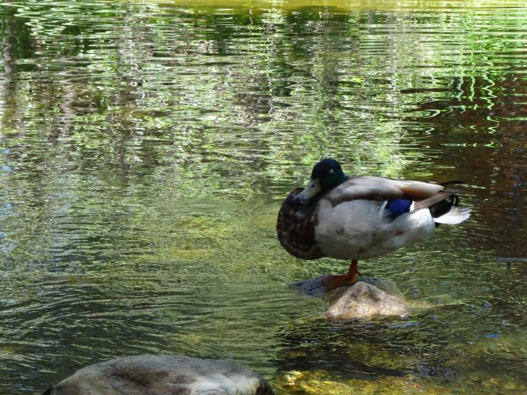 DSC08026.JPG