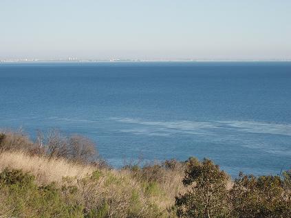 spring 2009 022.jpg