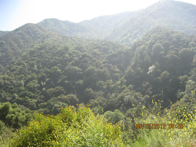 메아리 산행  훌러톤 맴버 006.JPG