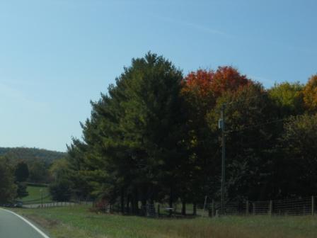 Virginia Trip Oct 2010 137.JPG