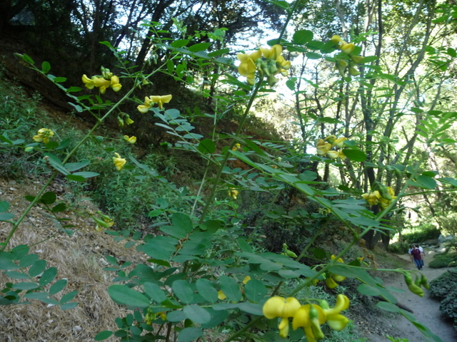 P1200879.JPG
