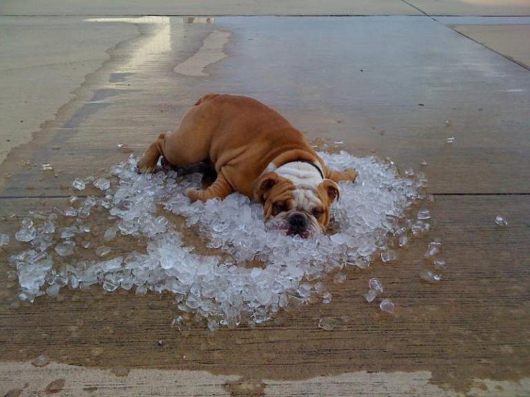 how hot it is.jpg