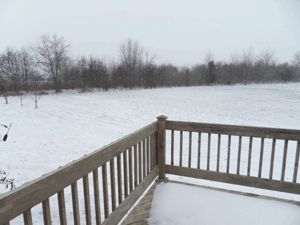 SDC13146.gif