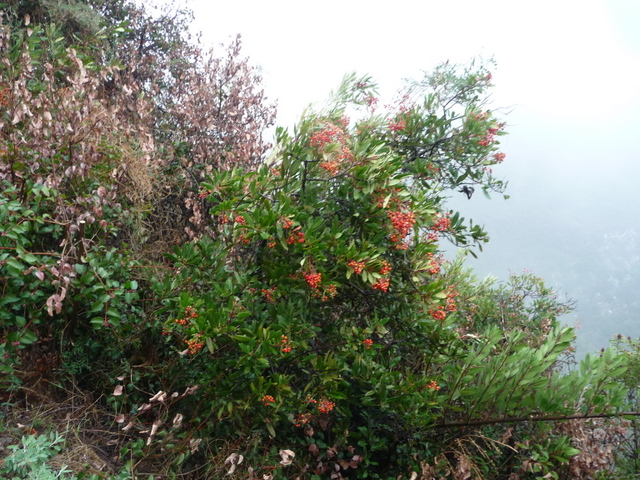 P1170453.JPG
