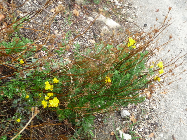 P1170456.JPG