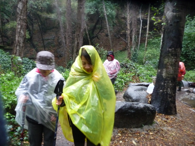 P1170525.JPG