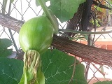 20140615_093513.jpg