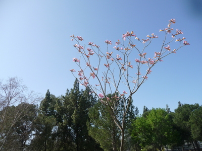 P1170555.JPG