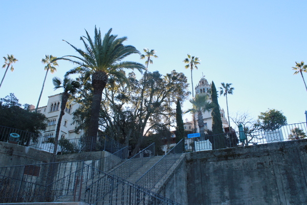 IMG_7678.JPG