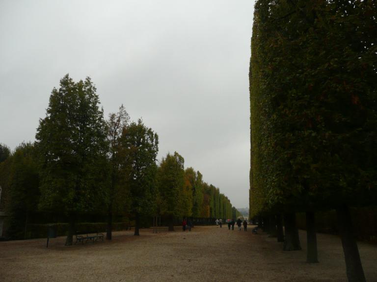 Schoenbrunngarten2.JPG
