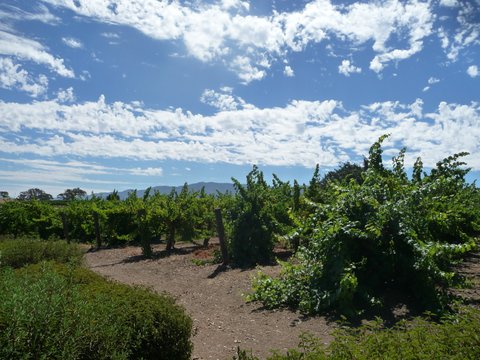 P1210641.JPG