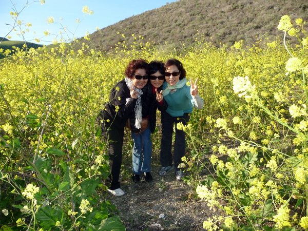 P1090204.JPG