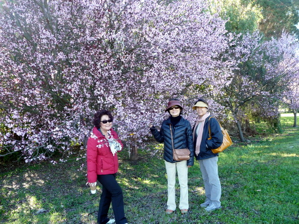 P1090291.JPG