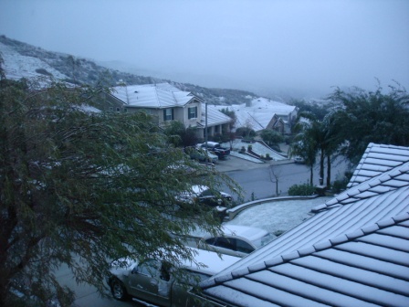 DSC00564-1.jpg