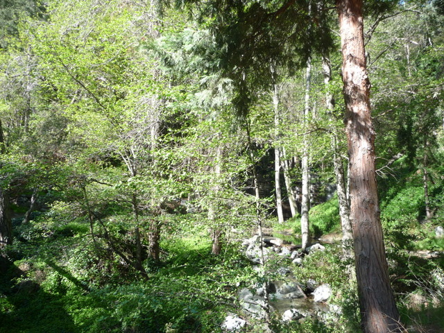 P1180304.JPG