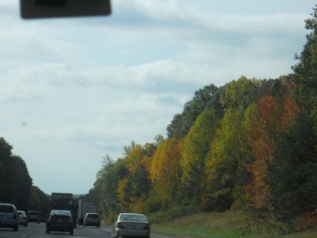 Virginia Trip Oct 2010 323.JPG