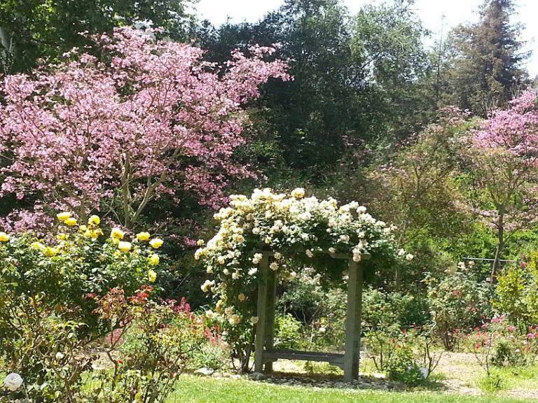 20130429_113612.jpg