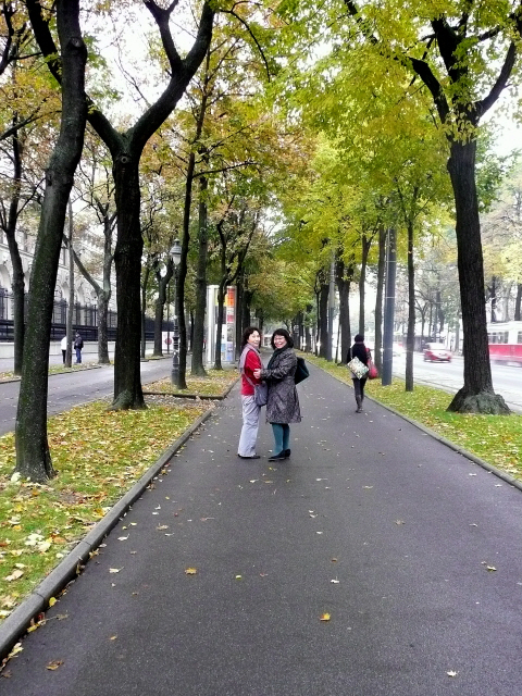 Ringstrasse.JPG