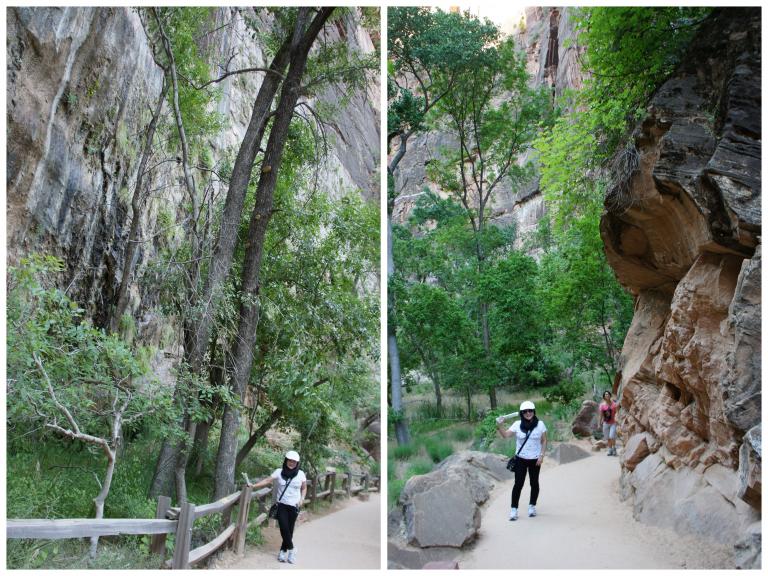 7-4-2011-Zion National Park.jpg