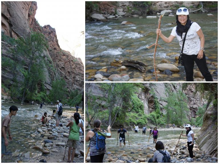 7-4-2011-Zion National Park1.jpg