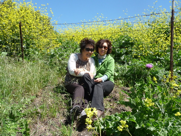 P1090733.JPG