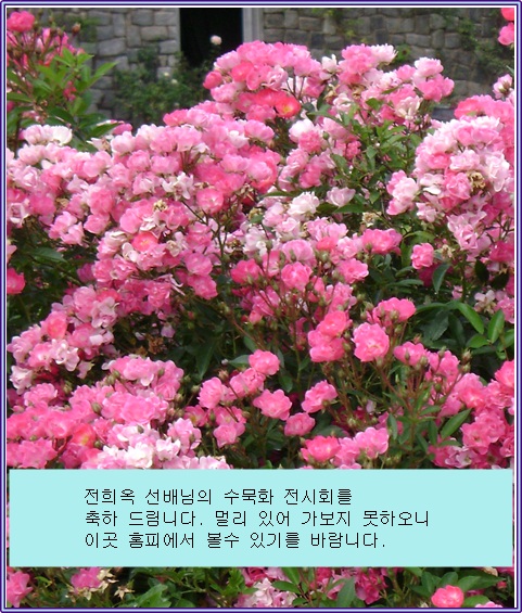 Aa-DSC01726.JPG