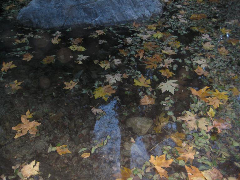 IMG_9270.JPG