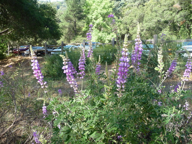P1200773.JPG