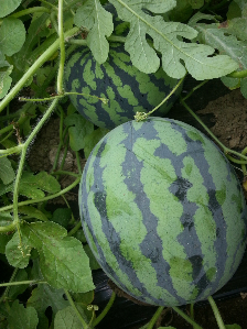 1405604459.jpg