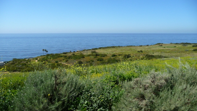 P1100514.JPG