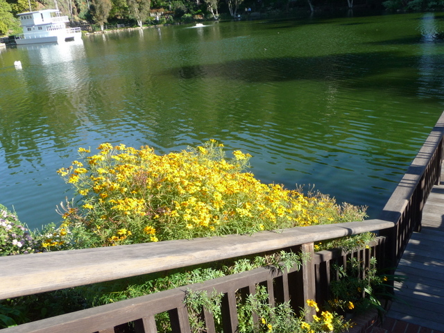 P1160990.JPG