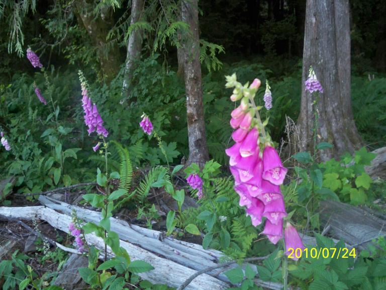 100_1572.JPG