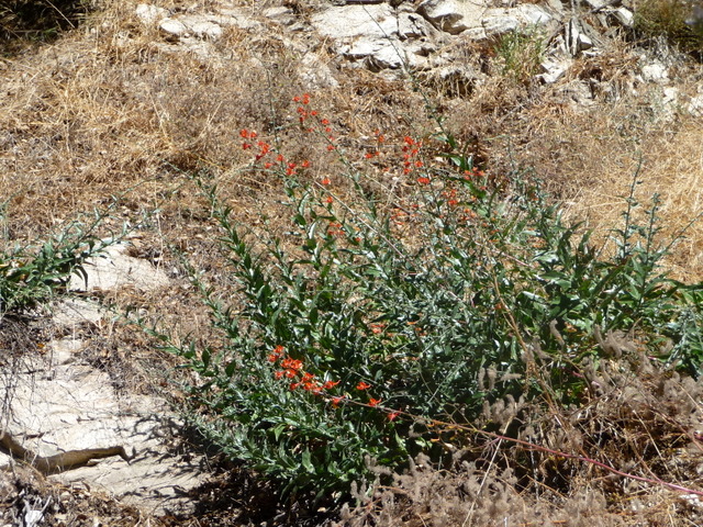 P1200939.JPG
