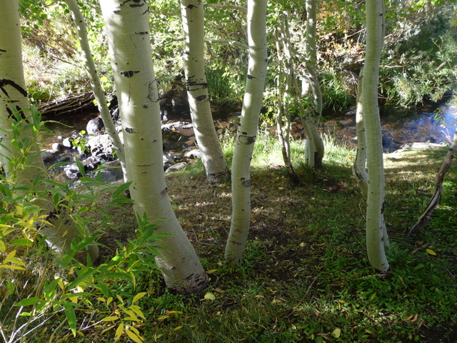 P1060015.JPG