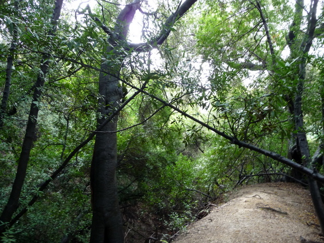 P1180234.JPG