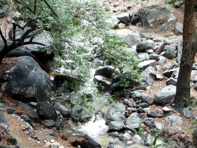 P1180255.JPG