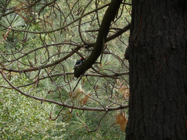 P1180262.JPG