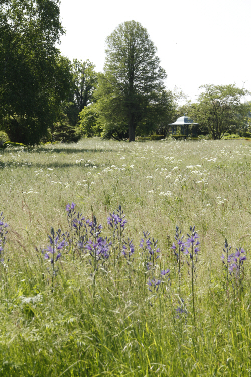 Paradies Gartengalerie_7526.JPG