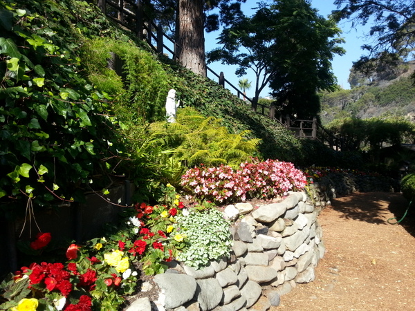 20140705_090546.jpg