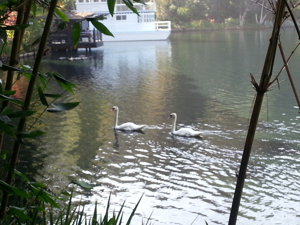 20140705_092555.jpg