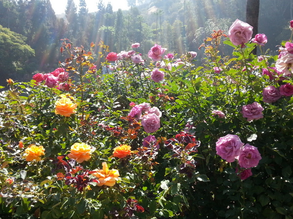 20140705_094018.jpg