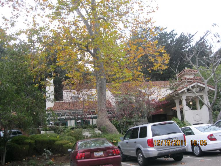 Sam and Jackie's wedding 026.JPG